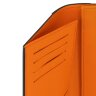 Обложка для паспорта Louis Vuitton Monogram Tangerine