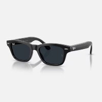 Ray-Ban Meta Audio Burbank Transitions (черный /  серый фотохром)
