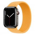 Apple Watch Series 7 45 мм, Graphite Stainless Steel, плетеный монобраслет «Спелый маис»