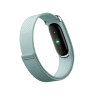 Фитнес-браслет Google Fitbit Air Classic Fog (Светло-серый)