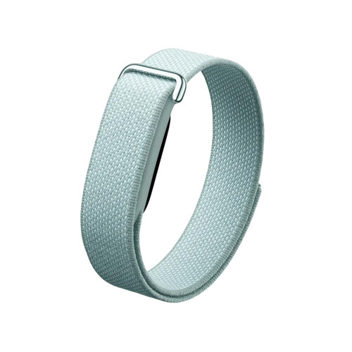 Фитнес-браслет Google Fitbit Air Classic Fog (Светло-серый)
