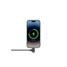 Кабель Native Union Belt Cable Duo USB-C — Lightning и USB-C