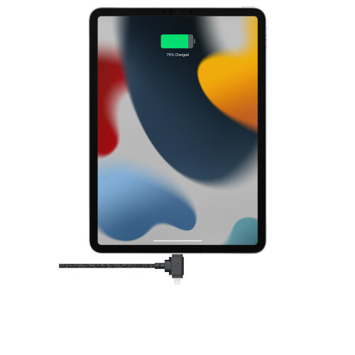 Кабель Native Union Belt Cable Duo USB-C — Lightning и USB-C