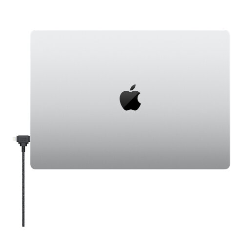 Кабель Native Union Belt Cable Duo USB-C — Lightning и USB-C