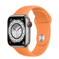Apple Watch Series 7 41 мм, Титановые, спортивный ремешок «Весенняя мимоза»