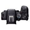 Canon EOS R10 Mirrorless Camera + RF-S 18-45mm F4.5-6.3 IS STM Lens + Mount Adapter EF-EOS R
