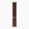 Apple Watch Ultra 4 49mm Titanium Case with Burgundy Alpine Loop (M)