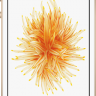 iPhone SE 32GB Gold (Золотой)