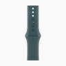 Apple Watch Series 10 46mm, Gold Titanium Case with Sport Band - Lake Green