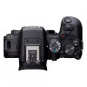 Canon EOS R10 Mirrorless Camera + RF-S 18-150mm F3.5-6.3 IS STM Lens + Mount Adapter EF-EOS R