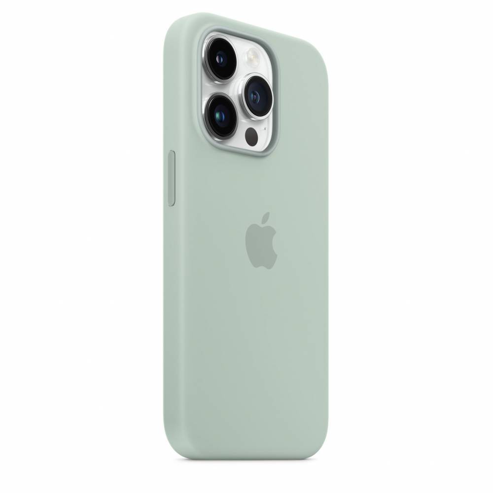 Купить силиконовый чехол для iPhone 14 Pro Max Succulent в Москве цена