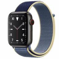 Apple Watch 5 Titanium 44mm