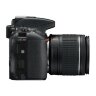 Зеркальный фотоаппарат Nikon D5600 Body