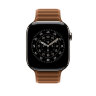Ремешок для Apple Watch 46mm Magnetic Link (M/L) - Коричневый (Caramel)