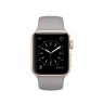 Apple Watch Series 2 38mm, "серый камень" спортивный ремешок, золотистый алюминий