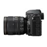Nikon D780 + AF-S 24-120mm F/4 VR KIT