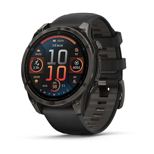 Умные часы Garmin Fenix 8 47mm, AMOLED, Sapphire, Carbon Gray DLC Titanium with Black/Pebble Gray Silicone Band