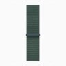 Apple Watch Series 10 46mm, Gold Titanium Case with Sport Loop - Lake Green