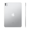 iPad Pro 13 M4 (2024) 1TB Wi-Fi + Cellular Nano-texture glass Silver (Серебристый)