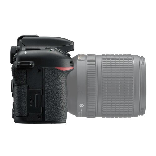 Nikon D7500 + AF-P DX NIKKOR 10-20 VR