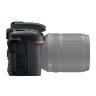 Nikon D7500 + AF-P DX NIKKOR 10-20 VR