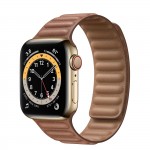 Apple Watch Series 6 Gold Stainless Steel 40mm, коричневый кожаный ремешок