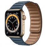 Apple Watch Series 6 Gold Stainless Steel 44mm, кожаный ремешок "балтийский синий"