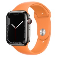 Apple Watch Series 7 45 мм, Стальные графитового цвета, спортивный ремешок «Весенняя мимоза»