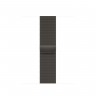 Apple Watch Series 8 41mm Graphite Stainless Steel, Milanese Loop