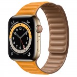 Apple Watch Series 6 Gold Stainless Steel 44mm, кожаный ремешок "золотой апельсин"