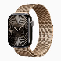 Apple Watch Series 10 46mm,Slate Stainless Steel, Gold Milanese Loop