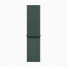 Apple Watch Series 10 46mm, Jet Black Aluminum Case with Sport Loop - Lake Green