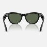Ray-Ban Meta Skyler (Глянцевая черная оправа, линзы зеленые G-15)