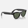 Ray-Ban Meta Skyler (Глянцевая черная оправа, линзы зеленые G-15)