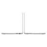 Apple MacBook Pro 14 M4 Max, 2024, 128GB, 1TB, 16-CPU, 40-GPU, Silver (RU)