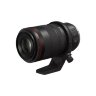 Объектив Canon RF 100mm F2.8L Macro IS USM