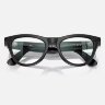 Ray-Ban Meta Skyler (Глянцевая черная оправа, линзы прозрачные)