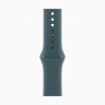 Apple Watch Series 10 46mm, Natural Titanium Case with Sport Band - Lake Green