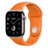 Apple Watch Hermes Series 10 42mm,  ремешок классический кожаный бежевого цвета