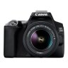 Canon EOS 250D, Black + EF-S 18-55mm f/3.5-5.6 III+ EF 75-300mm f/4-5.6 III Lens Kit