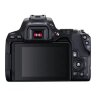 Canon EOS 250D, Black + EF-S 18-55mm f/3.5-5.6 III+ EF 75-300mm f/4-5.6 III Lens Kit