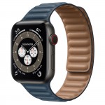 Apple Watch Series 6 Graphite Stainless Steel 44mm, кожаный ремешок "балтийский синий"