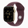 Apple Watch Series 12 42mm, Radiant Gold Titanium Case with Sport Band - Burgundy