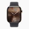 Apple Watch Series 10 42mm, Gold Titanium Case with Magnetic Link - Black