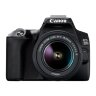 Canon EOS 250D Black + EF-S 18-55mm f/3.5-5.6 III Lens Kit