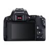 Canon EOS 250D Black + EF-S 18-55mm f/3.5-5.6 III Lens Kit