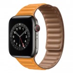 Apple Watch Series 6 44mm, сталь графитового цвета, кожаный ремешок "золотой апельсин"