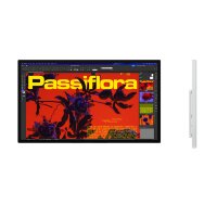 Монитор Studio Display XDR 27", VESA mount adapter, Nano-texture glass