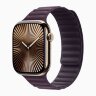 Apple Watch Series 10 42mm, Gold Titanium Case with Magnetic Link - Blackberry