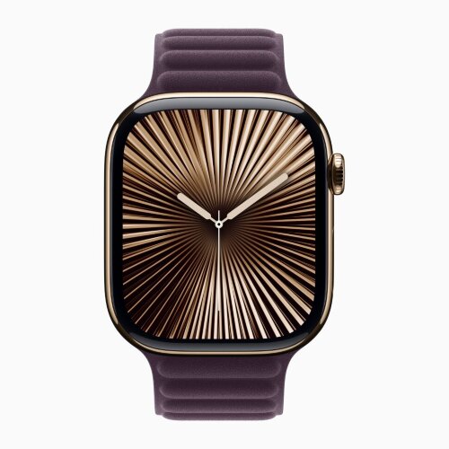 Apple Watch Series 10 42mm, Gold Titanium Case with Magnetic Link - Blackberry